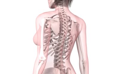 Hernia discal: mitos, realidades y por qué la fisioterapia es el primer paso