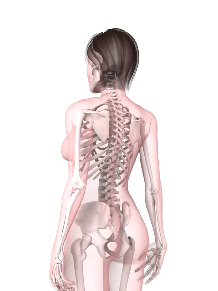 columna vertebral hernia discal fisioterapia Fidoos Madrid Vallecas