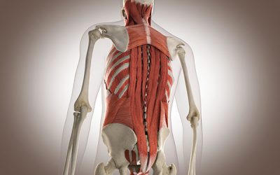 Fibromialgia: qué es, síntomas y por qué la fisioterapia puede ayudarte
