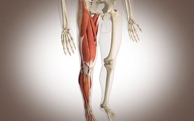Artrosis de rodilla: qué puedes hacer para frenar su avance con fisioterapia