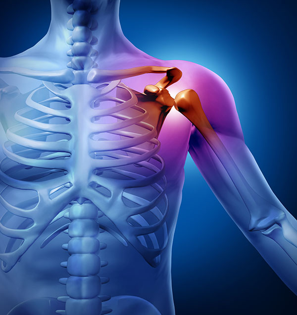 anatomía hombro lesión deportista fisioterapia Madrid Vallecas anatomía hombro lesión deportista fisioterapia Madrid Vallecas