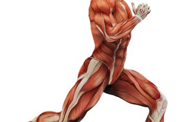 ¿Por qué te duele la rodilla después de correr? Causas y tratamiento en Vallecas, Madrid