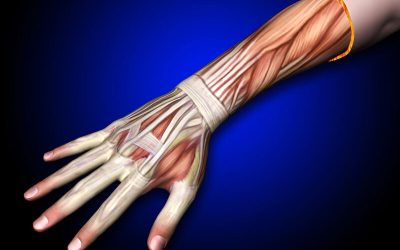 Pádel y epicondilitis: el codo del padelista que no se cura solo