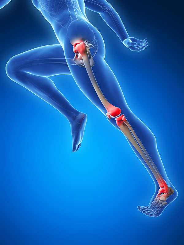 corredor dolor articulaciones cadera rodilla tobillo fisioterapia Fidoos Madrid